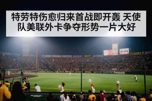 baseball stadium at night