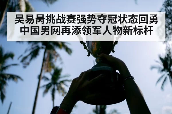 吴易昺挑战赛强势夺冠状态回勇 中国男网再添领军人物新标杆